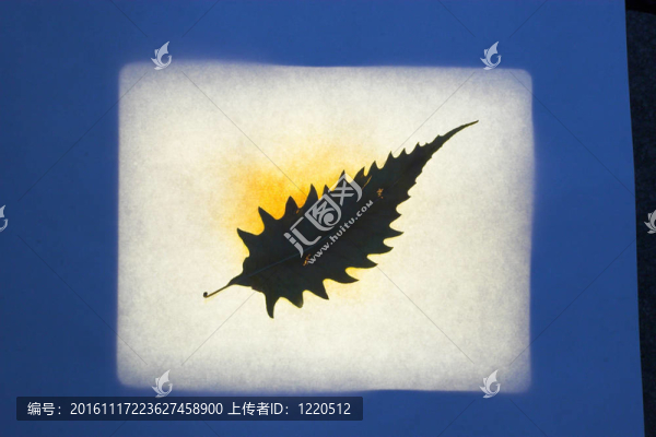 樹(shù)葉摘要