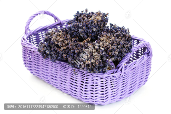 籃子用薰衣草