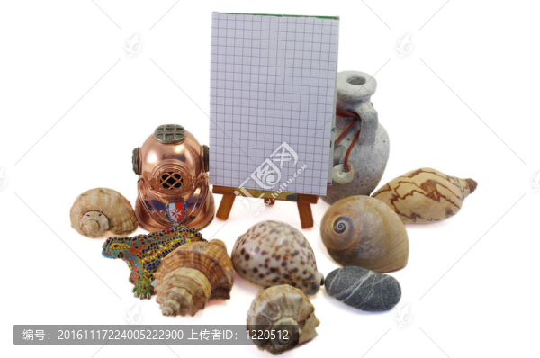 由殼體制成的框架