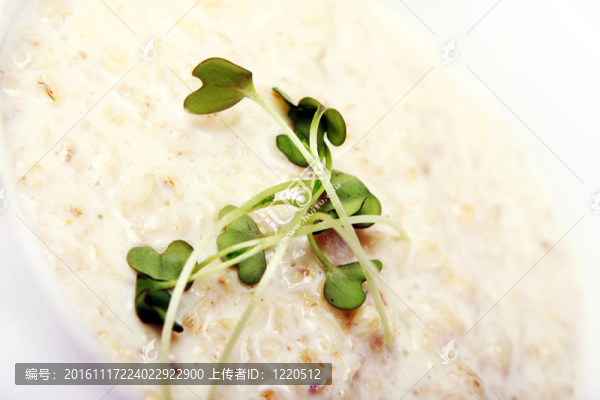 牛奶麥片