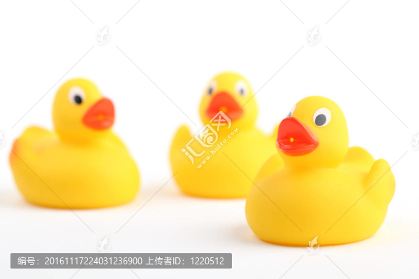 橡皮小鴨