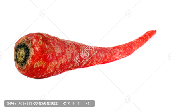 胡蘿卜