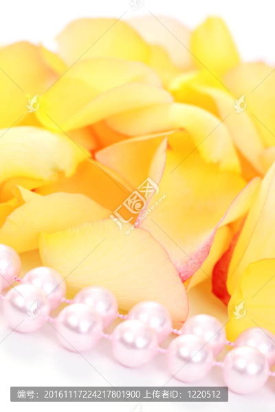 玫瑰花瓣