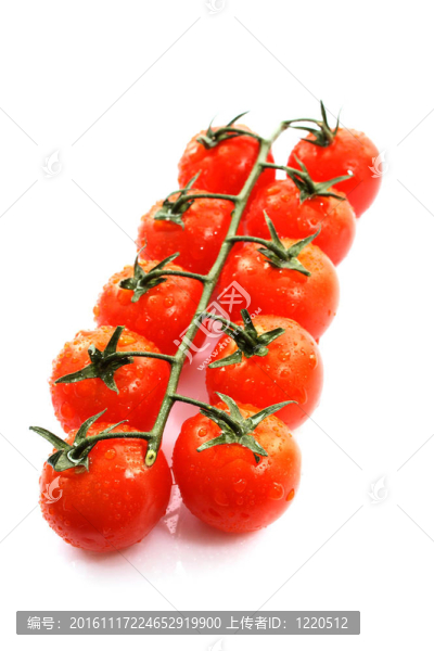 西紅柿