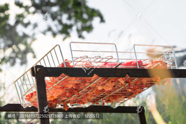 烤雞肉燒烤