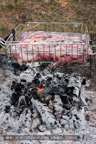 烤雞肉燒烤