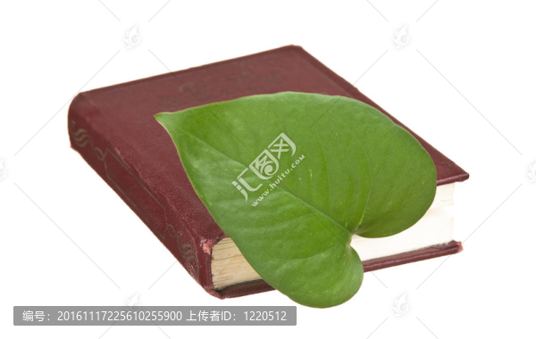 書中的綠葉書簽