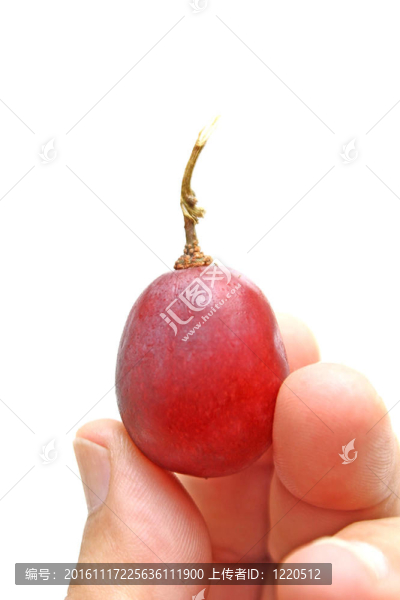紅葡萄