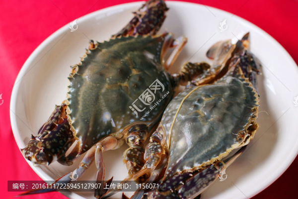 蒸汁白蟹