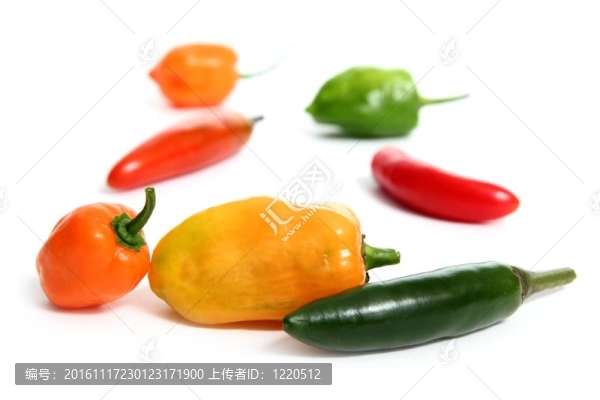 chili,Habanero,Serrano熱墨西哥辣椒