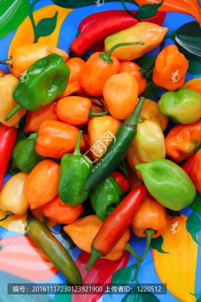 chili,Habanero,Serrano熱墨西哥辣椒