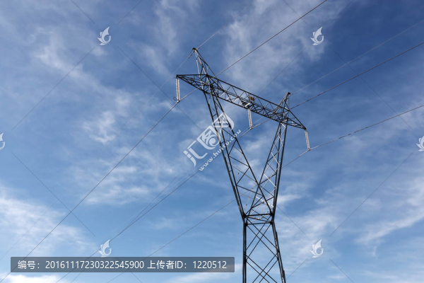 高電壓極
