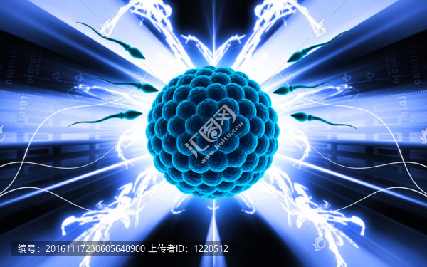 精子和卵子