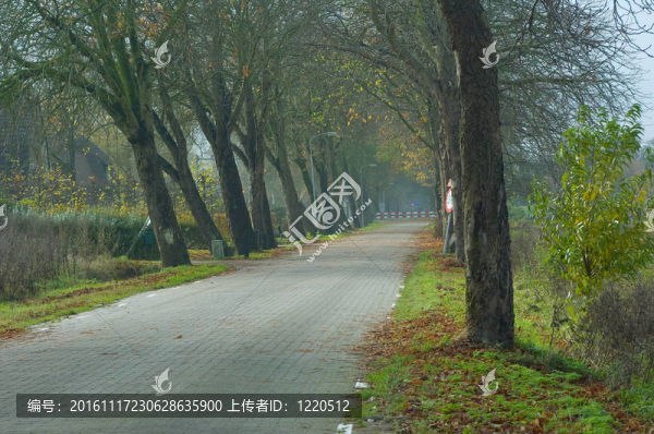 秋天的路上