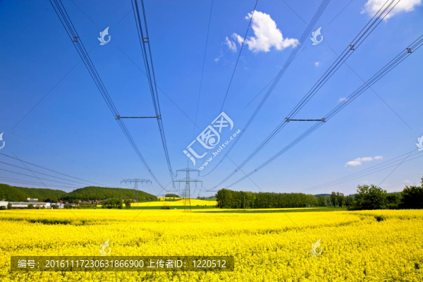 電源線