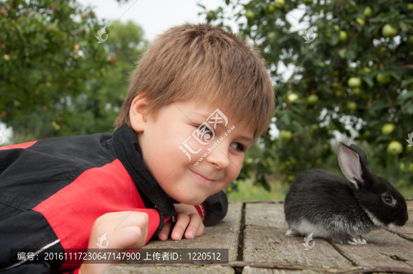 在小屋里有一只兔子在花園里