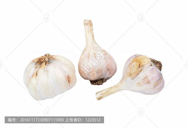 大蒜植物特寫(xiě)；孤立在白色背景