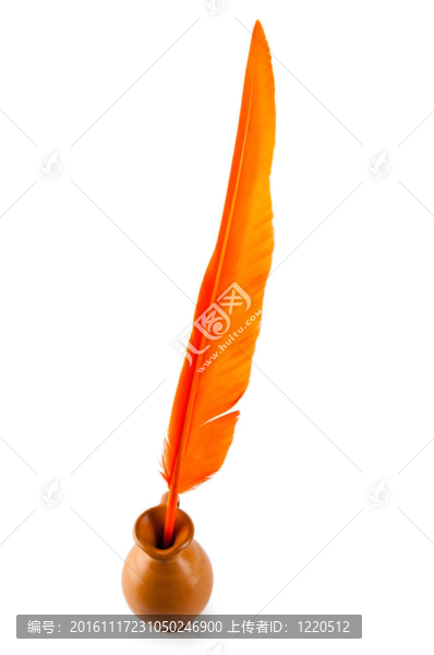 寫(xiě)在白色背景上的羽毛