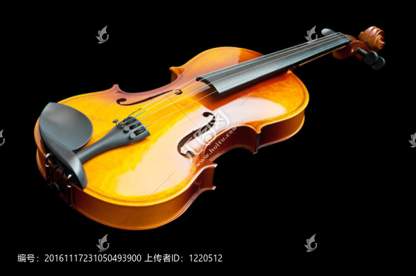 小提琴音樂觀