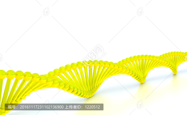 紙卷