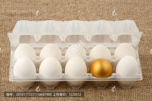 金蛋