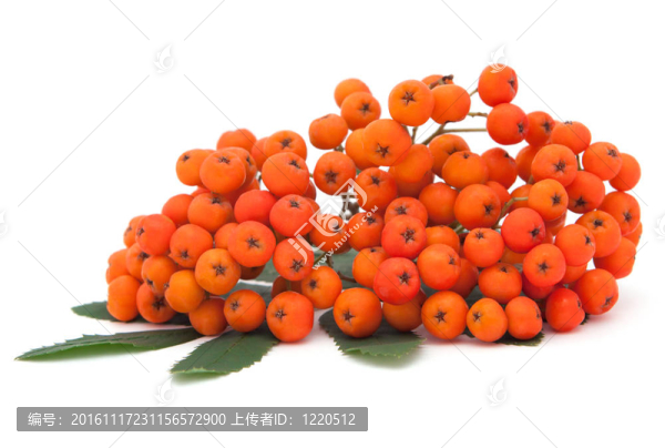 阿什貝利束