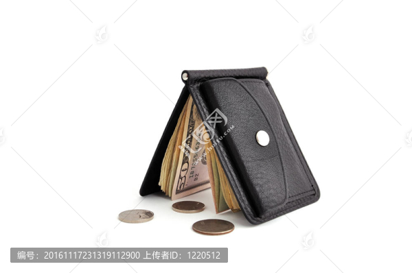 與美元的錢包