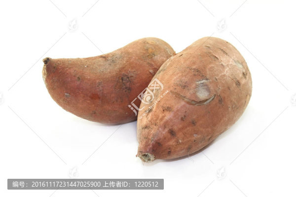 甜土豆