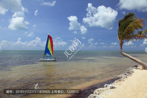 佛羅里達群島美麗的海灘