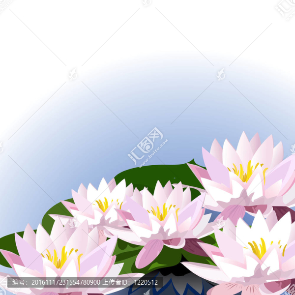 裝飾在水上的百合花