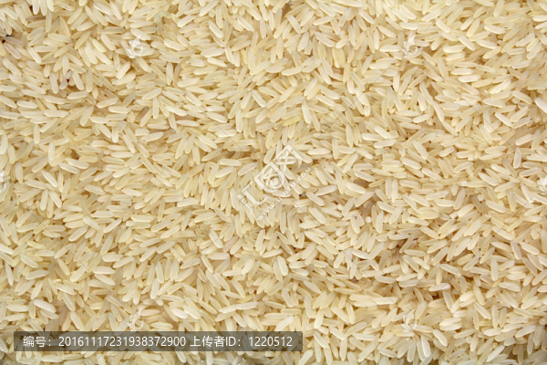 Rice顆粒-匯圖網(wǎng) www.fosd68.com Rice顆粒