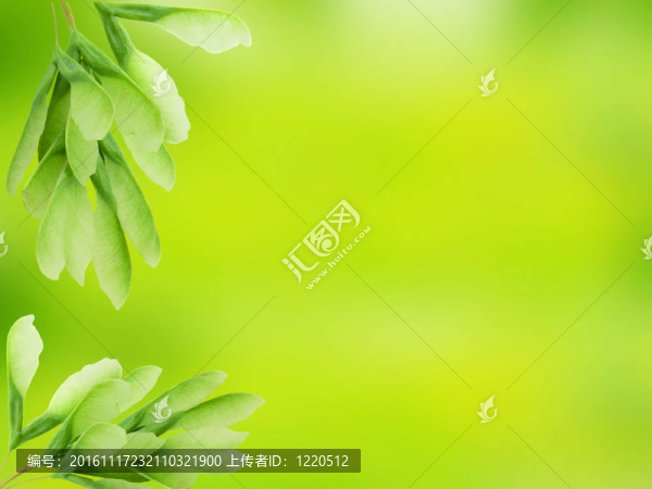 綠葉抽象模糊背景