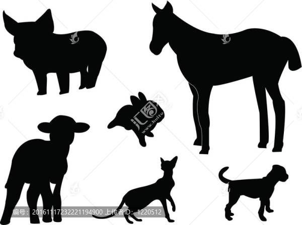 小動物的輪廓