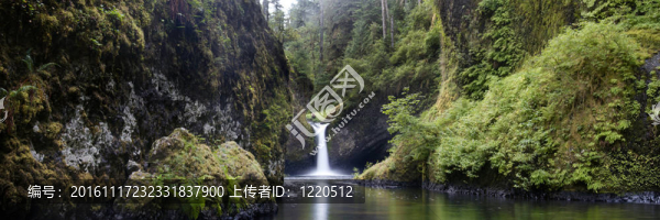 酒碗落；哥倫比亞河峽谷