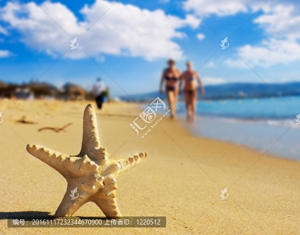 海灘上的海星