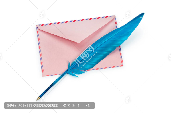 信和孤立在白色飛羽