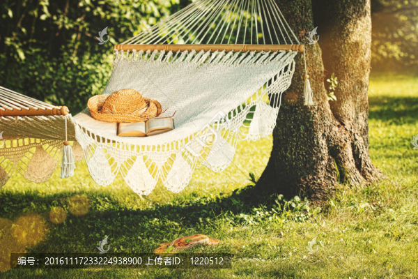在一個(gè)夏日的吊床和書(shū)的觀點(diǎn)