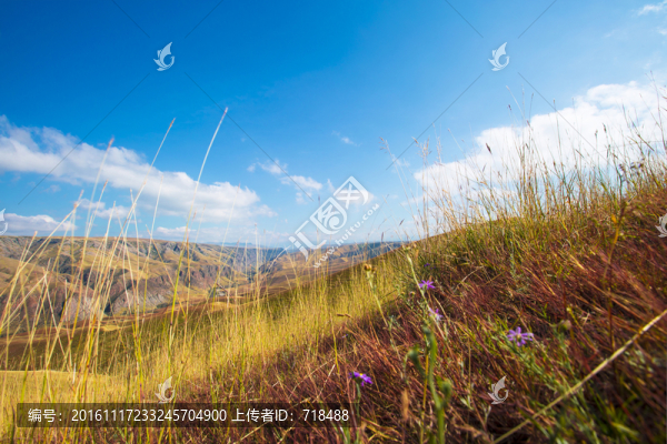 闊克蘇大峽谷,喀拉峻,草原