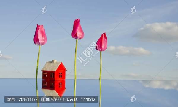 鏡子上的房子象征和郁金香