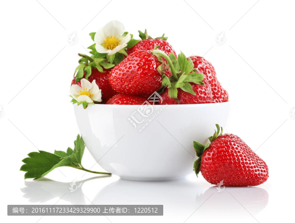 草莓葉子和花