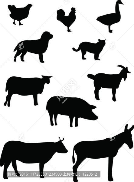 農(nóng)場動物的輪廓