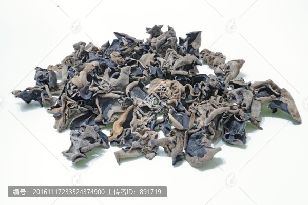 黑木耳素材高清