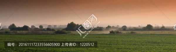 有霧的早晨