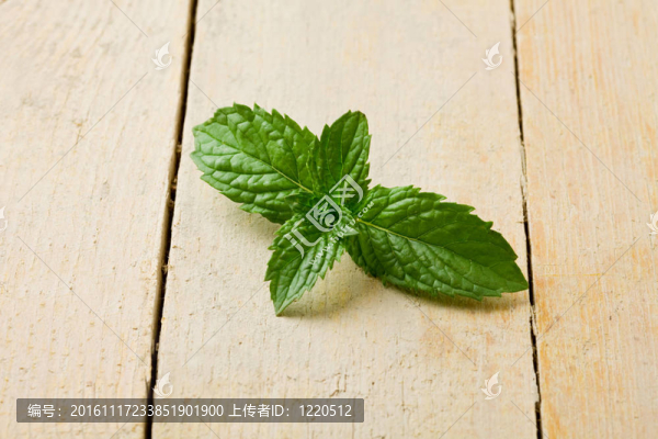 薄荷