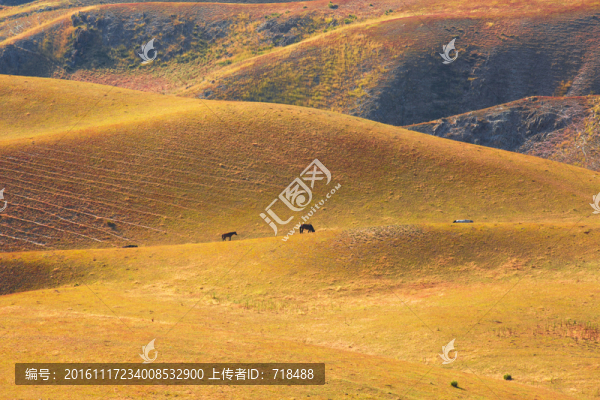喀拉峻草原