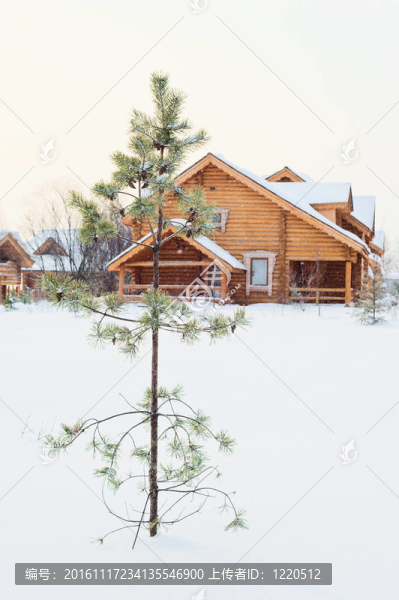 圖為雪中的木屋