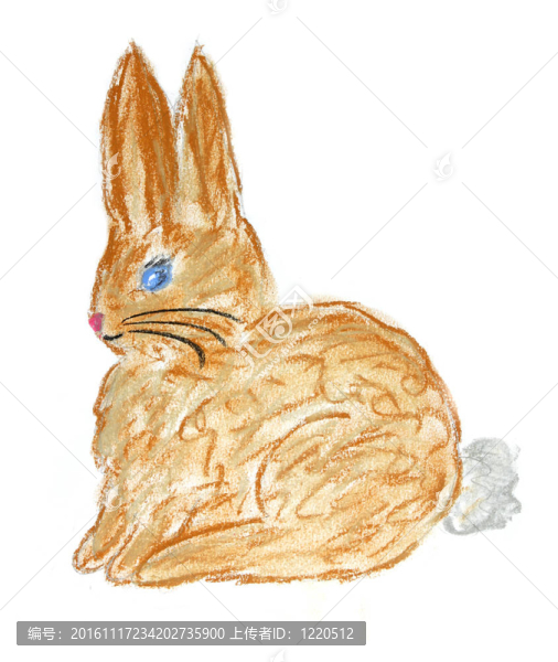 兔子布朗的插圖