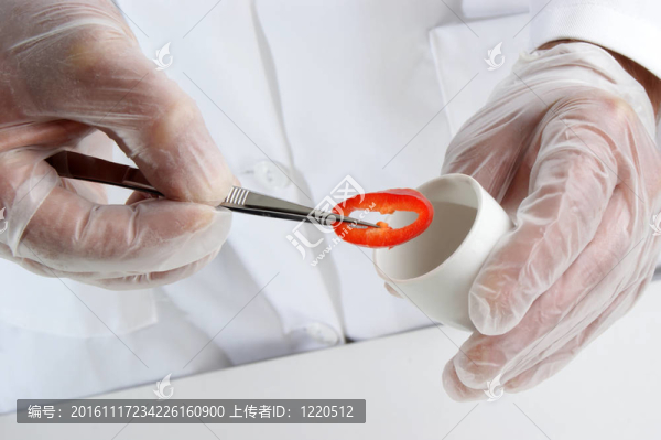 辣椒粉是食品實(shí)驗(yàn)室研究