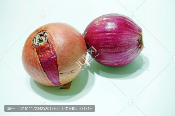 洋蔥素材