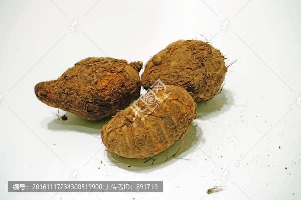 芋頭素材